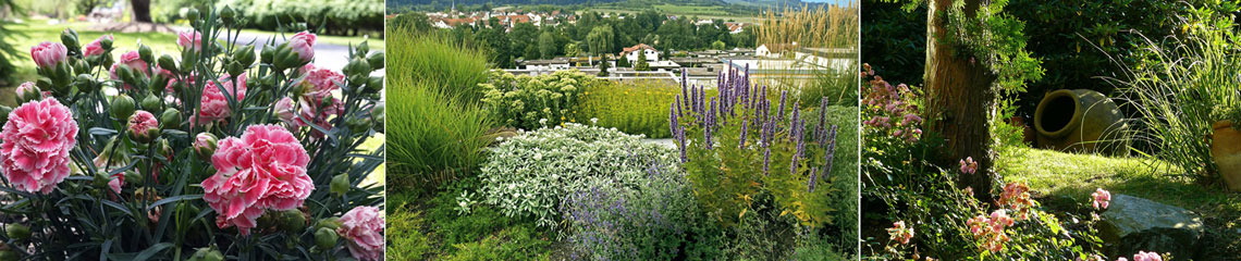 okrasné záhrady